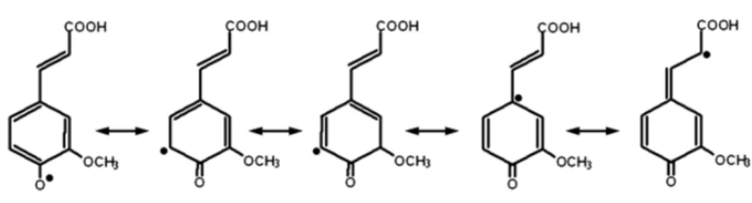 Fig. 2. 4 Resonance structure of FA [43] 