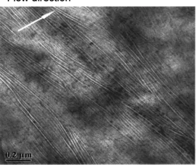 圖 2-11 定向摺鏈片晶結構之穿透式電子顯微鏡影像[23] 
