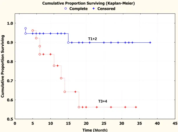 Figure 1.2 Kaplan-Meier survival curve showing relation between tissue PlGF mRNA levels in 63 