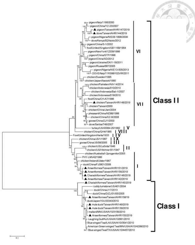 Fig. 6.1    Phylogenetic tree based on the complete fusion protein gene sequences of  isolates of the avian paramyxovirus 1 (APMV-1)