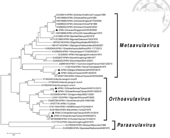 Fig. 6.2    Phylogenetic tree based on the complete fusion protein gene sequences of  isolates of the avian paramyxoviruses (APMVs)