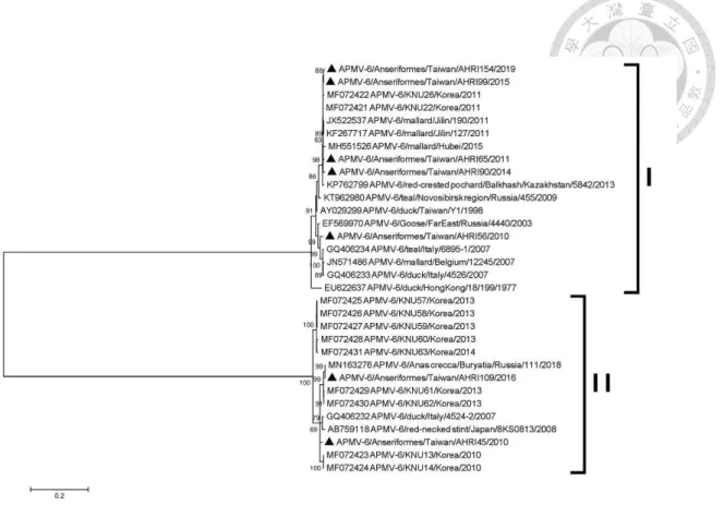 Fig. 6.4    Phylogenetic tree based on the complete fusion protein gene sequences of  isolates of avian paramyxovirus 6