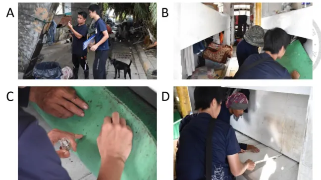 Figure 1    Scenario of sampling bed bugs in fishing vessel. (A) operator asked simple  questions and showed picture and specimens of bed bugs, called “Tinggi” in Indonesian  language,  for oral survey;  (B) operator  checked  infestation  of bed bugs in f