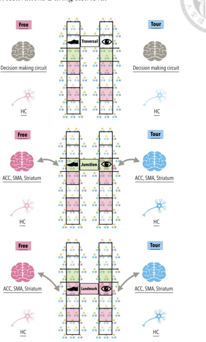 Figure 2. Hypothesized Brain Activations During Retrieval  Hypothesized Brain Activations During Retrieval 