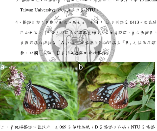 Fig. 2. Marking codes of Parantica sita niphonica Moore.   