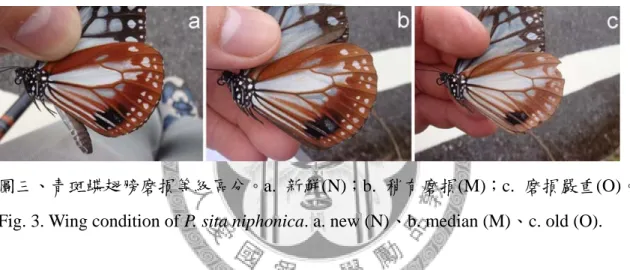 Fig. 3. Wing condition of P. sita niphonica. a. new (N)、b. median (M)、c. old (O). 
