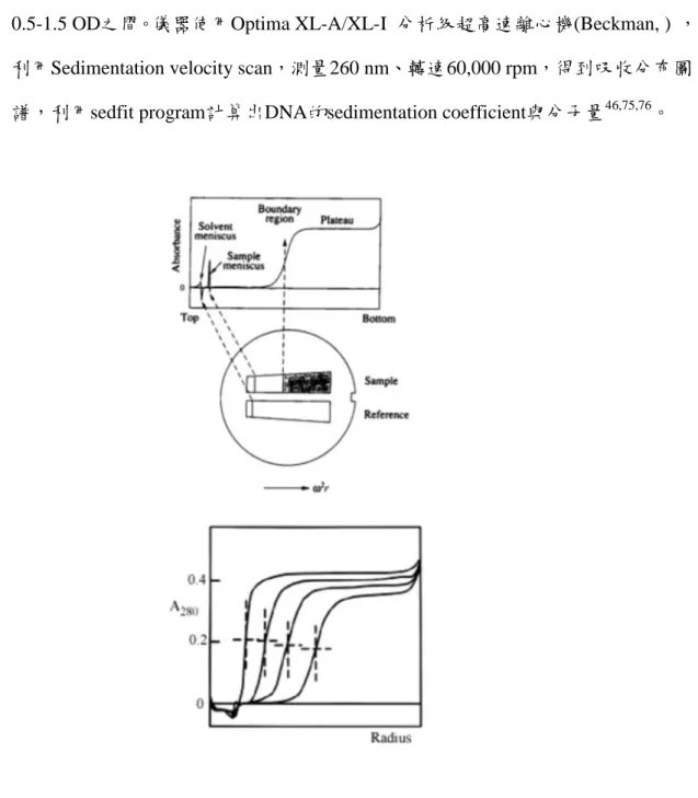 圖 2.3    Sedimentation velocity scan  實驗所測得之吸收分布圖譜 
