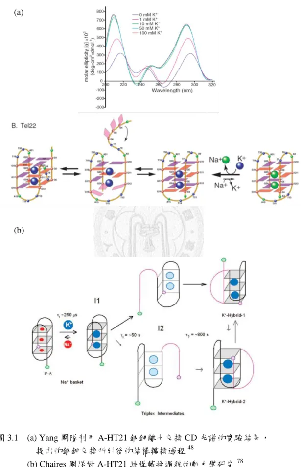 圖 3.1    (a) Yang 團隊利用 A-HT21 鈉鉀離子交換 CD 光譜的實驗結果， 