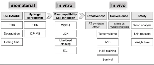 Figure 6. The workflow of our basic study design: biomaterial, in vitro, and in vivo  investigations [59].