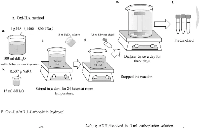 Figure 7. Drug preparation: the procedures of (A) oxi-HA/ADH hydrogel and (B)  hydrogel carboplatin preparation