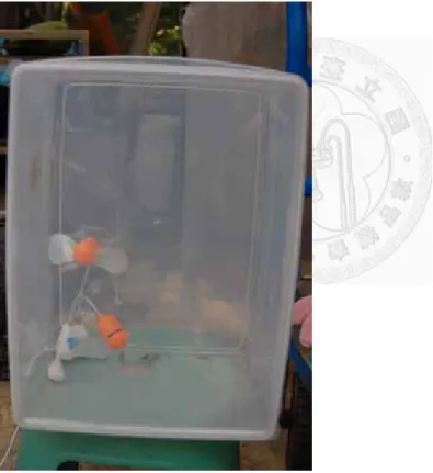 Figure 10. Transparent fumigation chamber used for gas uptake by herb plants 