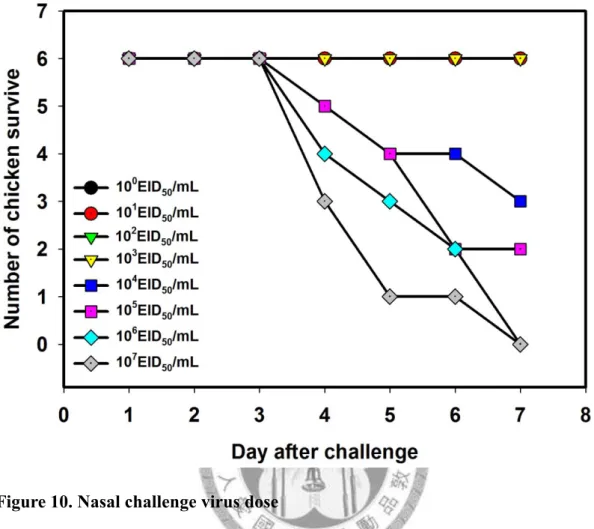 Figure 10. Nasal challenge virus dose 