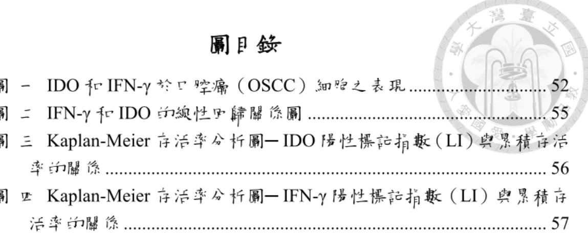 圖  一 IDO 和 IFN-γ 於口腔癌（OSCC）細胞之表現 .............................. 52  圖  二 IFN-γ 和 IDO 的線性回歸關係圖 ...................................................