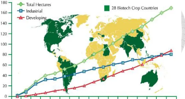 Figure 1.1 Global Area of Biotech Crops, 1996 to 2012 (Million Hectares)      Source: James (2012)