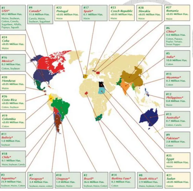 Figure 1.2 Global map of Biotech Crop countries and Mega-countries in 2012    Source: James (2012)
