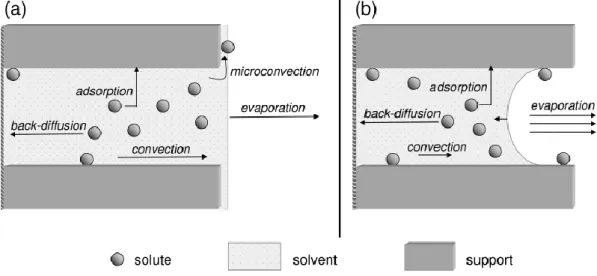 Figure 2.3 Phenomena of transport involved in (a) the constant-rate  period of drying and (b) the falling-rate period of drying