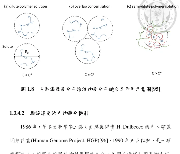 圖 1.8    不同濃度高分子溶液的高分子鏈交互作用示意圖[95] 