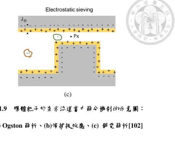 圖 1.9    膠體粒子於奈米流道當中篩分機制的示意圖： 