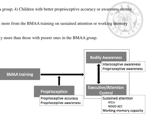 Figure 1. A conceptual diagram illustrating the possible relationship among bodily  awareness and executive functions, and the possible training effect of BMAA-C
