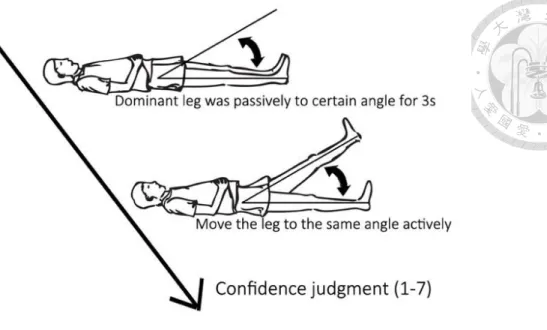 Figure 4. The procedures of passive movement task. 