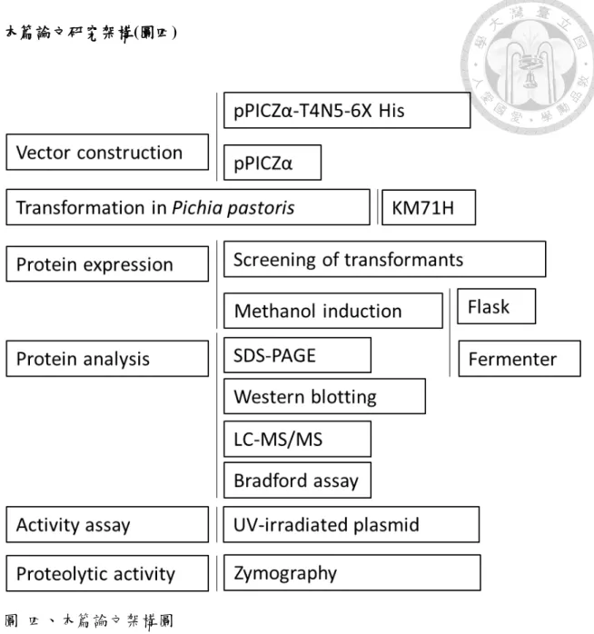 Figure 7. Schematic framework of this study 