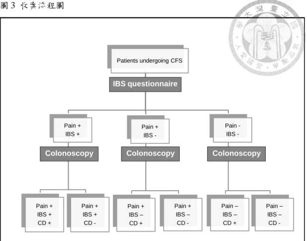 圖 3  收案流程圖  Patients undergoing CFS Pain + IBS + Pain + IBS + CD + Pain +IBS +CD  -Pain + IBS -Pain +IBS – CD + Pain +IBS –CD  Pain IBS -Pain –IBS –CD + Pain –IBS –CD -IBS questionnaire