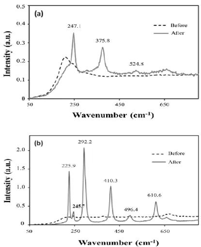 Figure  4-8  showed  the  Raman  spectra  of  synthesized  Cu/Fe  nanoparticles  to  study whether the metallic oxides appear on the  Cu/Fe nanoparticles