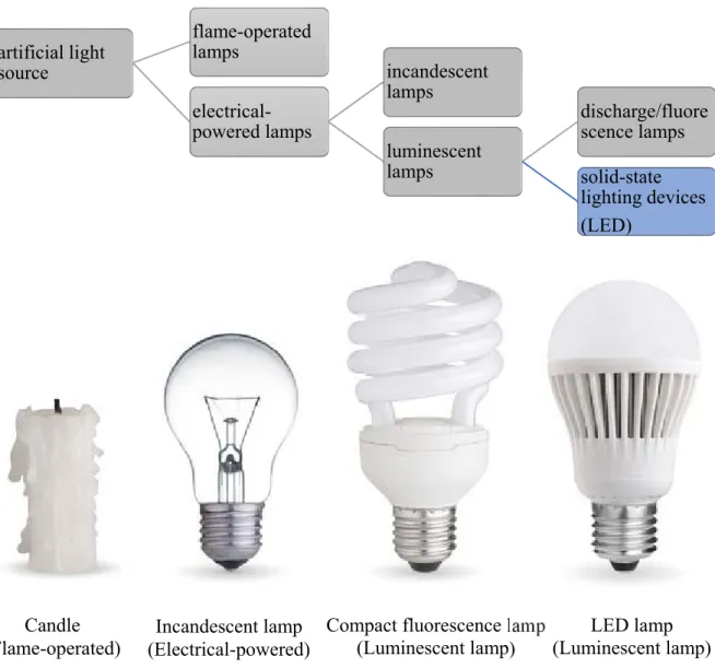 Figure 1 Artificial light source branches 