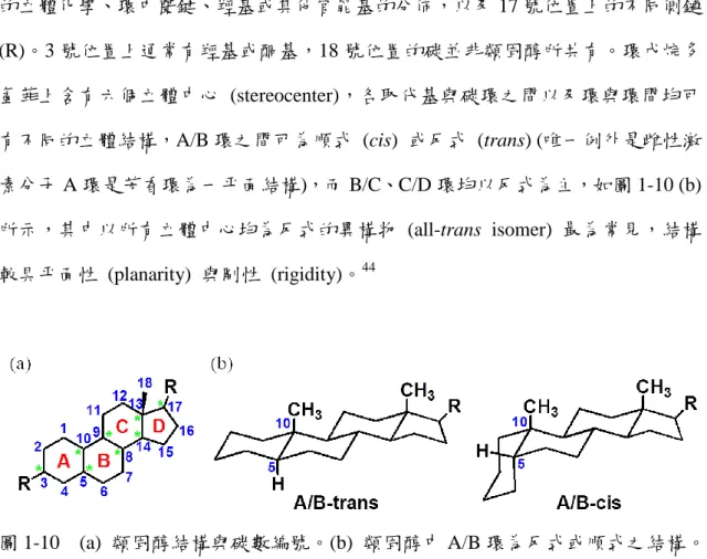 圖 1-10    (a)  類固醇結構與碳數編號。(b)  類固醇中 A/B 環為反式或順式之結構。 