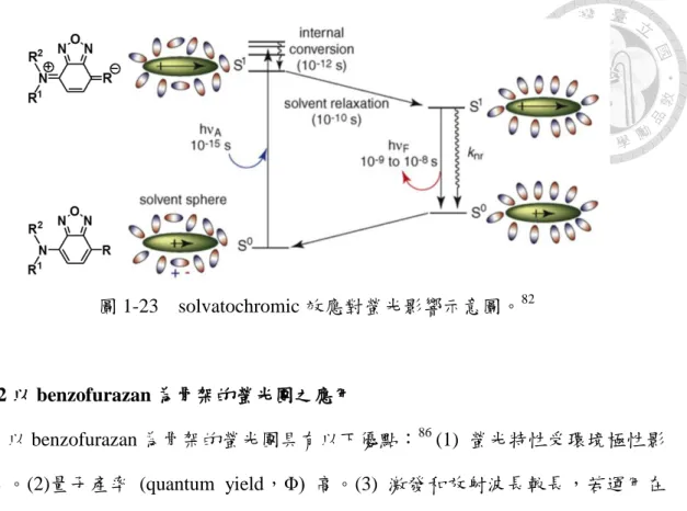 圖 1-23    solvatochromic 效應對螢光影響示意圖。 82 1.5.2 以 benzofurazan 為骨架的螢光團之應用          以 benzofurazan 為骨架的螢光團具有以下優點： 86  (1)  螢光特性受環境極性影 響大。(2)量子產率  (quantum  yield，Φ)  高。(3)  激發和放射波長較長，若運用在 生物體內，可避免生物體自體螢光的干擾。雖然此種螢光團為單螢光放射輸出， 其螢光強度容易受種種外在因素所影響，而不像前一章節介紹的 3-hydr