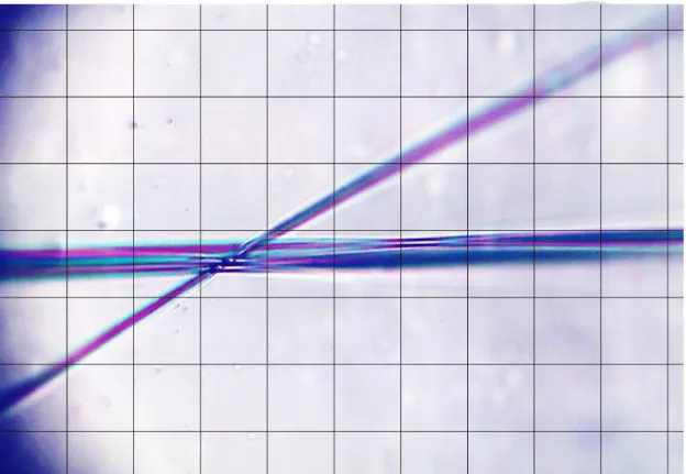 Fig. 2-5 Photograph of a bare MCR after ethanol was dropped on it. 