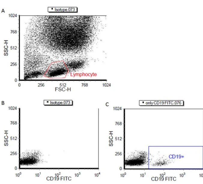 Figure 11. Gated CD19+ B lymphocytes in whole blood cells using flow cytometry.   