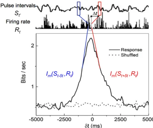 Figure 2.5: Measuring I m (S, R, t). Pulse intervals S t 0 and response firing rate R t are used to calculate mutual information, where t 0 is t shifted from t