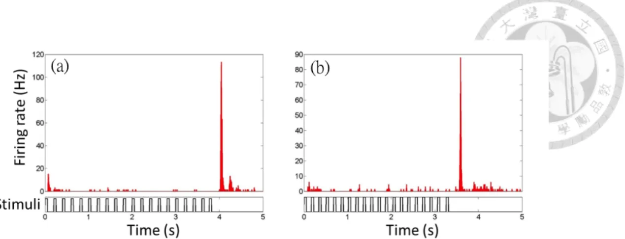 Figure 3.9: Eﬀects of the last interval. (a) The period of stimuli in the first 18 intervals are 170 ms and the last interval (19 th ) is 200 ms