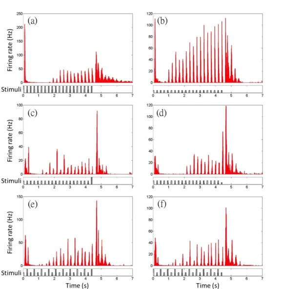 Figure 3.10: Eﬀects of the last pulse intensity. (a) PSTH under bright pulses, (b) dim pulses, (c) normal pulses with the last bright pulse, (d) normal pulses with the last dim pulse, (e-f) mismatched dim and bright pulses with diﬀerent orders.