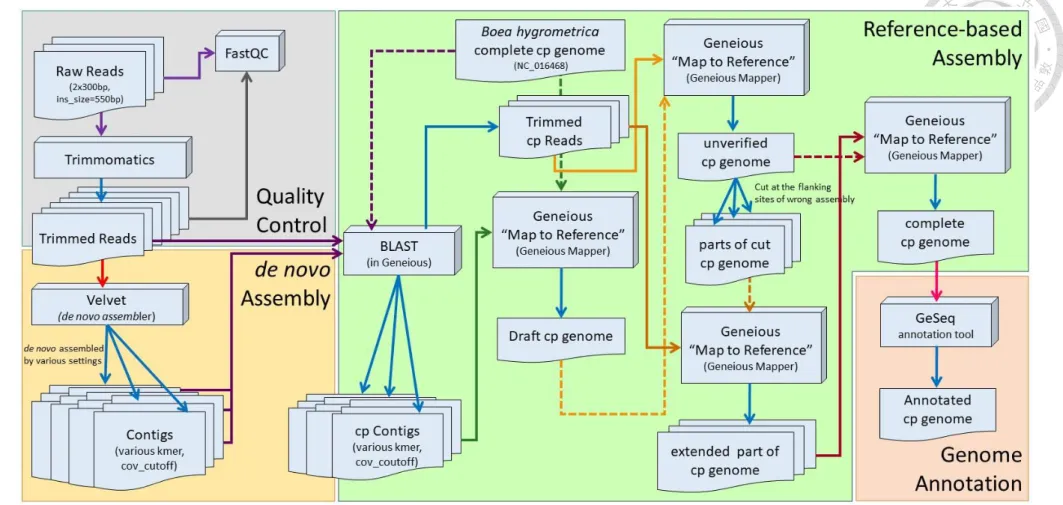 Fig. 2. A brief workflow of plastome assembly.   