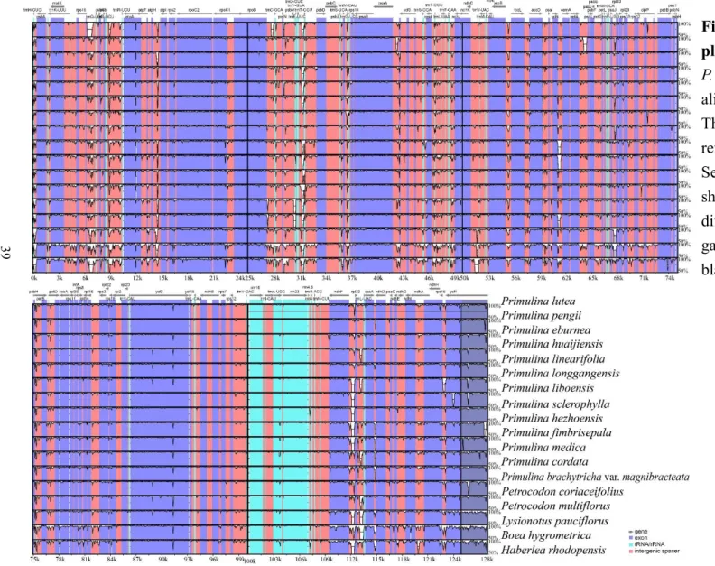 Fig. 6. The mVISTA genome similarity  plot of 18 Gesneriaceae plastomes. 