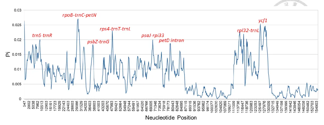 Fig. 7. The sliding window analysis of 15 Primulina and 2 Petrocodon plastomes alignment with variable regions designated