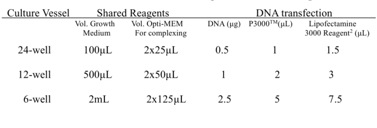 Table 2.10 Protocol of Lipofectamin 3000 Reagent   