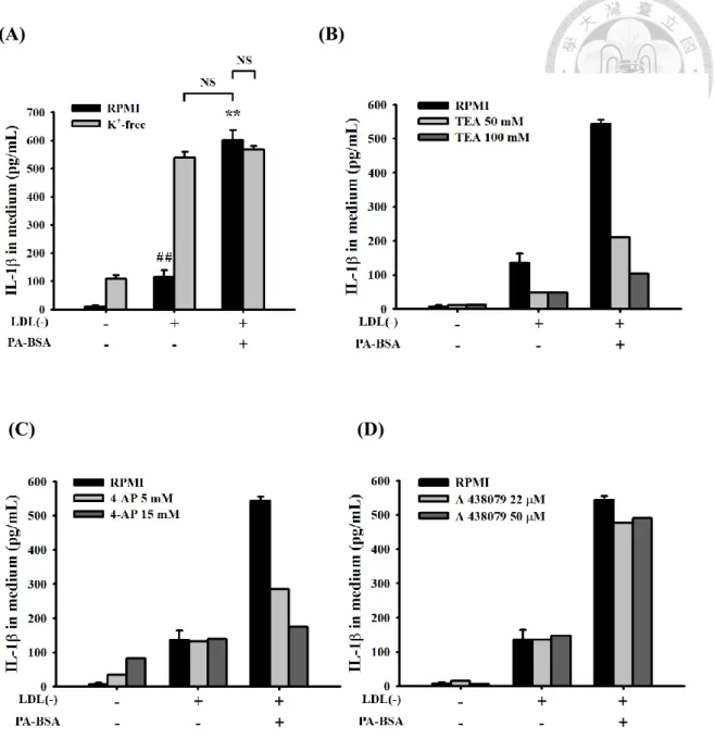 Figure  9.  PA  enhances  LDL(-)-induced  IL-1  production  is  possibly  through  potassium efflux