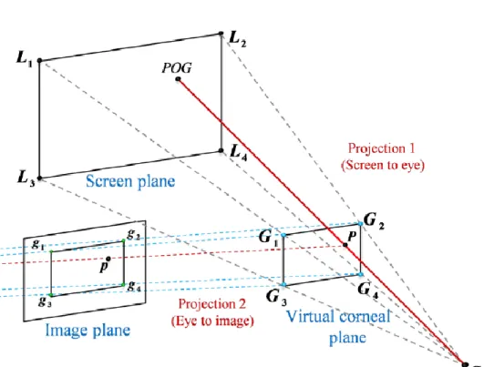 Fig. 2-12    Model and projection used in cross-ratio based method [35]. 
