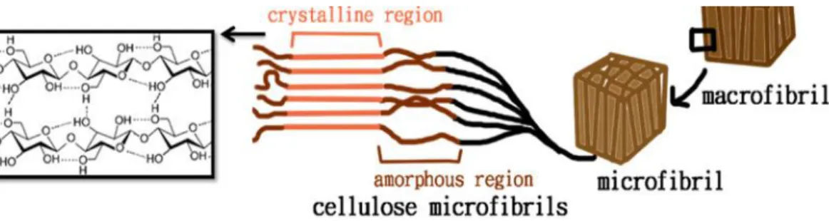 Figure 1 The scheme of the crystalline region in a lignocellulose material 