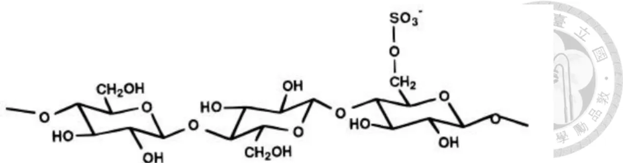 Figure 5 Schematic diagram of a sulfate group attached on C6 (Dong and Gray 1997) 