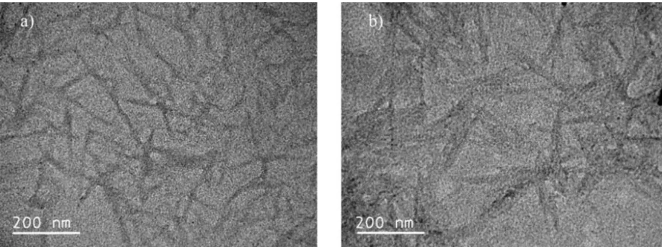 Figure 10 TEM micrographs of samples (a) C and (b) F 