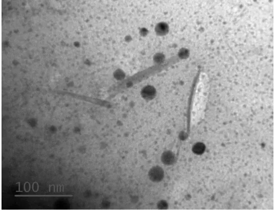Figure 12 Sample “200P”, prepared at 65°C by 63% (w/w) sulfuric acid hydrolysis for 2 h 