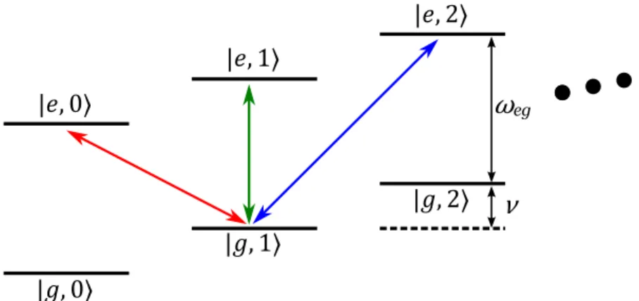 Figure 1.3: The energy level of a trapped ion. The green, blue, and red arrows correspond to the carrier, blue sideband and red sideband transitions respectively.