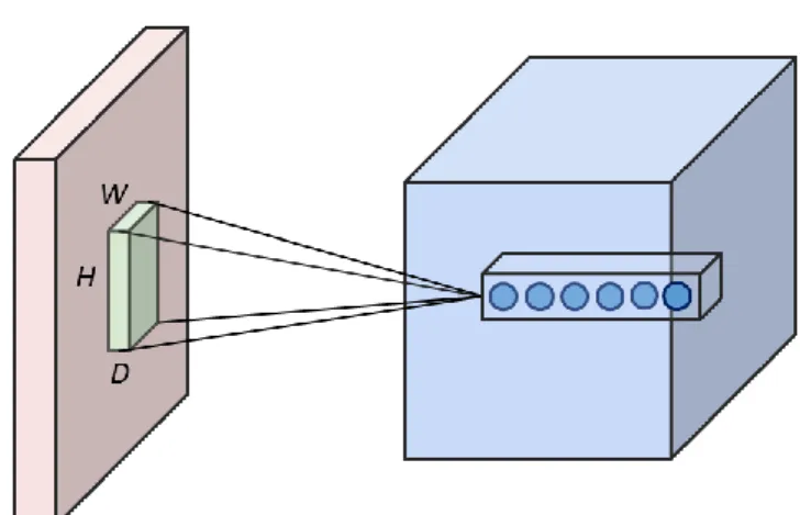 Figure 2-6: Local connectivity of a convolutional layer. 