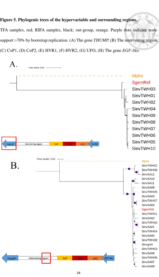 Figure 5. Phylogenic trees of the hypervariable and surrounding regions. 