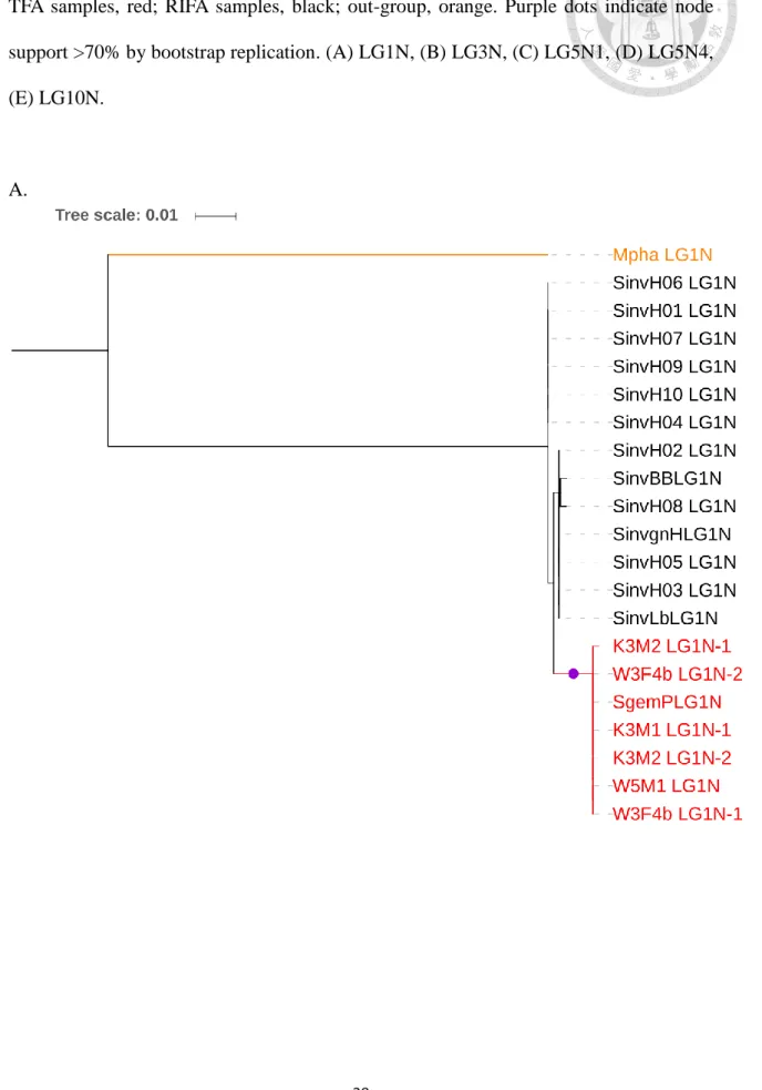 Figure 6. Phylogenic trees of the neutral regions.   