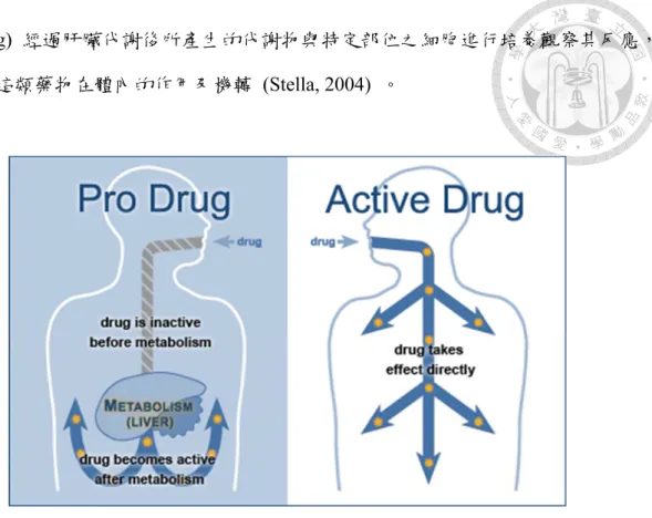 圖  2-3  Difference between Prodrug and Active Drug (CEPMED) 